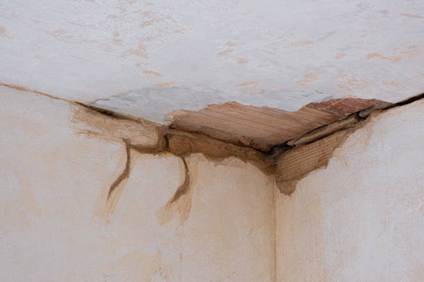 Best Ceiling water damage repair  in Ben Avon, PA