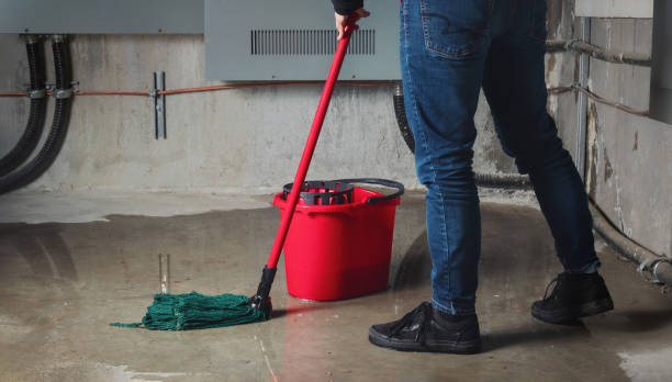 Best Residential water damage restoration  in Ben Avon, PA