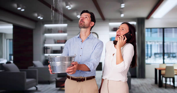 Best Local water damage restoration  in Ben Avon, PA