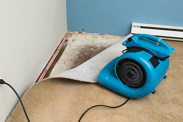Best Flooded house restoration  in Ben Avon, PA